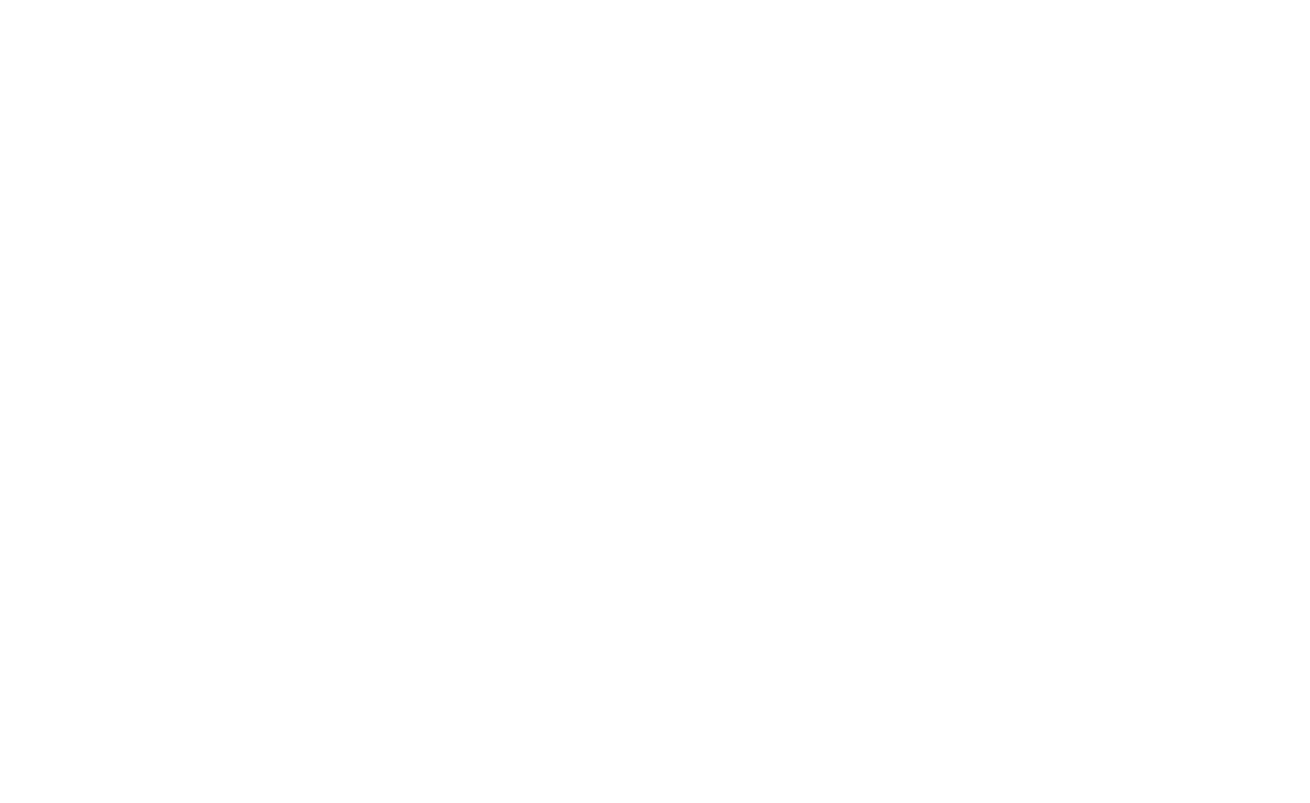 Elevy New York